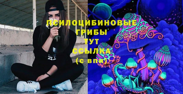 бошки Богданович