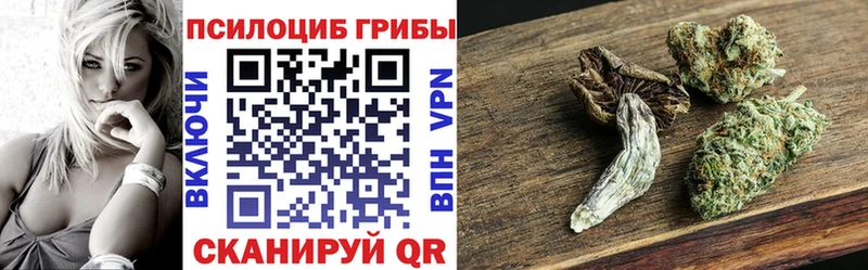 маркетплейс Telegram  Дербент  Псилоцибиновые грибы Magic Shrooms  продажа наркотиков 