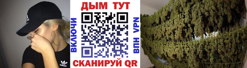 Шишки марихуана планчик Дербент